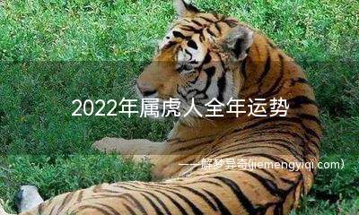 2022年属虎人全年运势 属虎2022年运势及运程