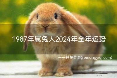1987年属兔人2024年全年运势