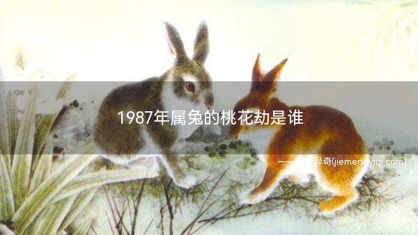 1987年属兔的桃花劫是谁 1987年属兔的桃花劫是什么属相