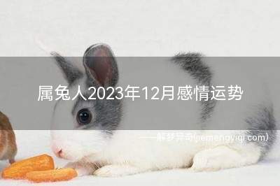 属兔人2023年12月感情运势 2023年12月属兔爱情运程详解