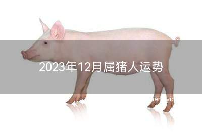 2023年12月属猪人运势 属猪2023年12月运程